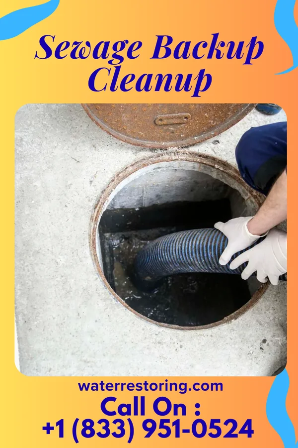 Sewage Backup Cleanup in Gaylord, MN
