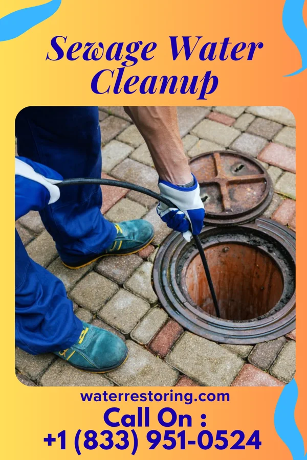 Sewage Water Cleanup in Gaylord, MN